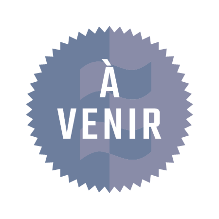 C5061 Ligne d’air DUCT-PRO® de remplacement 6’ avec raccord pour C5060 1/CH