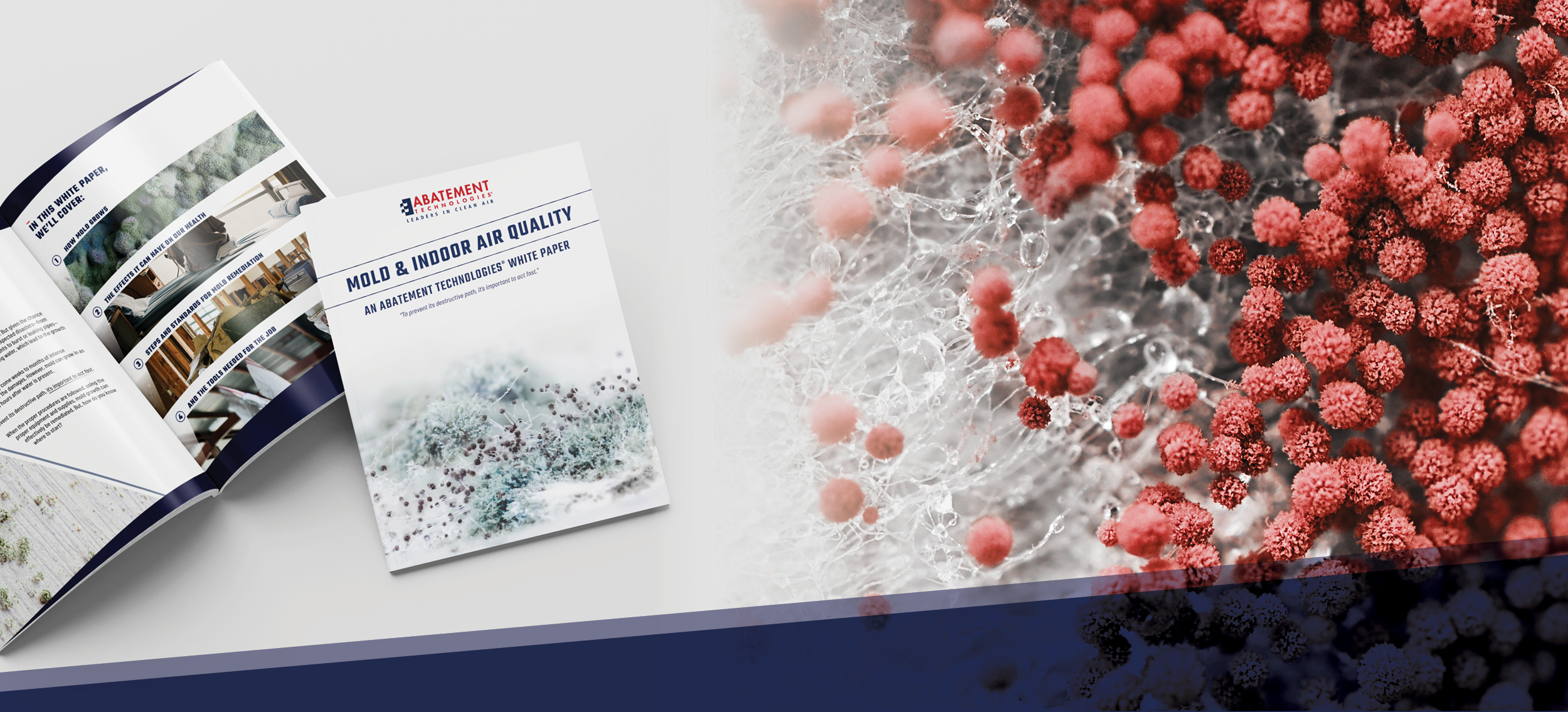 Image présentant une vue rapprochée de spores de moisissure rouge et une brochure d’Abatement Technologies intitulée « Mold & Indoor Air Quality » qui met en avant les étapes, effets, normes et outils liés à l’élimination des moisissures.